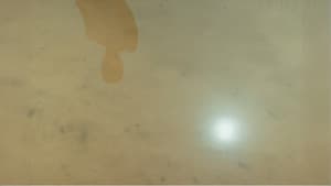 Existir — foto 1