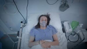 Lungs — foto 1