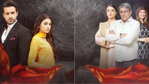 ایک ستم اور — foto 2