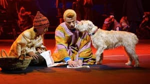 Kuifje: De Zonnetempel, De Musical — foto 1