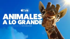 Criaturas gigantes — foto 10