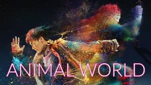 Mundo animal — foto 10