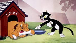 The Cat's Tale — foto 1