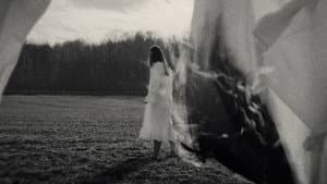 A Song For William Bird — foto 3