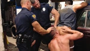 Cops on Duty — foto 1