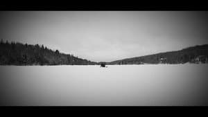 Echoes Of Ivory — foto 3