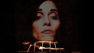 Heather — foto 2