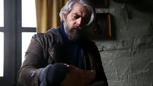 Episodio 14