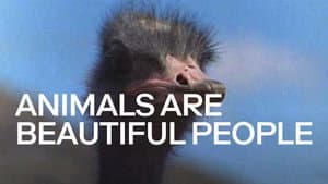 Animals Are Beautiful People — foto 6