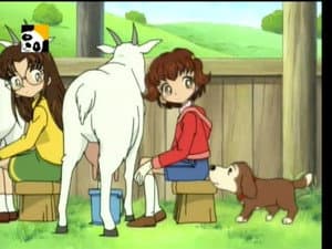 Un bebé cabra ha nacido