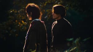 Twin Flame — foto 3