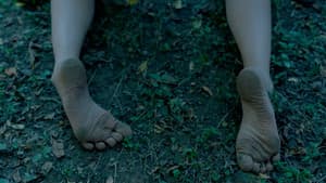 Corpúsculo — foto 1