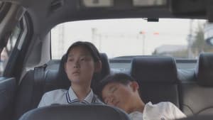 남매의 여름밤 — foto 3