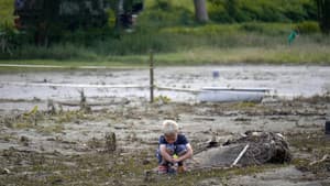 Après la pluie — foto 1