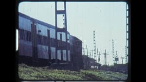 Cabeza de palo — foto 1