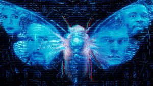 Dark Web: Cicada 3301 — foto 1