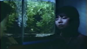 視姦白日夢 — foto 9