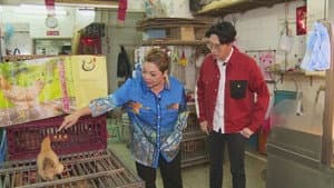 Episodio 4