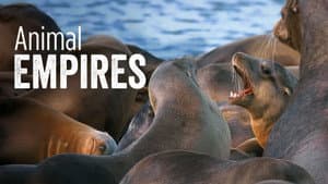 Animal Empires — foto 2