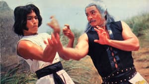 醉八仙拳 — foto 1