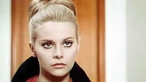 La ragazza di nome Giulio — foto 1