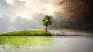 Antes que sea tarde — foto 2