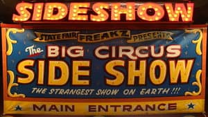 Sideshow: Alive on the Inside — foto 1