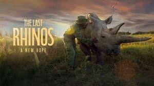 The Last Rhinos: A New Hope — foto 1