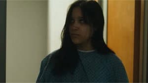 The Border Baby — foto 3