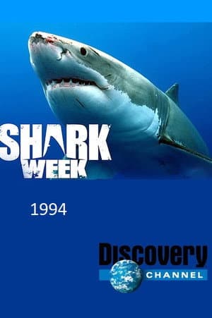 Temporada 7