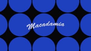 Macadamia — foto 1