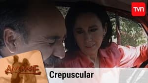 Crepuscular