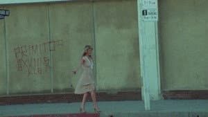 Disco Lady — foto 5