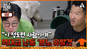 Episodio 9