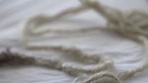 Tendrils — foto 1