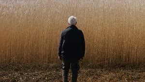 Rietland — foto 8