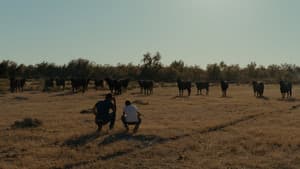 Un monde sans bêtes — foto 2
