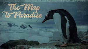 The Map to Paradise — foto 3