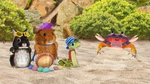 ¡Ayuden a la cangrejita caribeña! / ¡Salven a los borregos cimarrones!