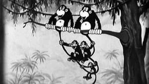 Monkey Melodies — foto 1