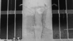 Safer Sexual Techniques in the Age of Mechanical Reproduction — foto 1
