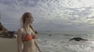 Shark Encounters of the Third Kind — foto 1
