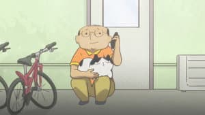 Episodio 11