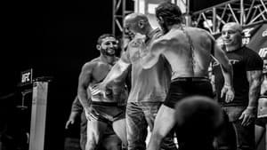 UFC 189: Mendes vs. McGregor — foto 2