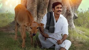 இட்லி கடை — foto 1