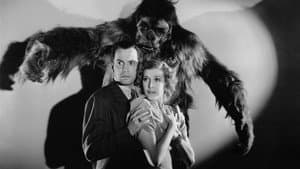 The Gorilla — foto 2