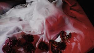 Angustia — foto 4