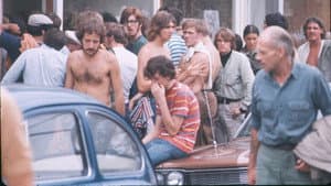 Woodstock — foto 5