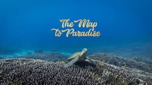 The Map to Paradise — foto 1