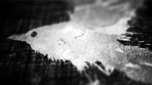 Ted Hughes: Stronger Than Death — foto 1